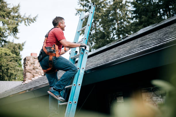 Best Asphalt Shingles Roofing  in Louisville, KY