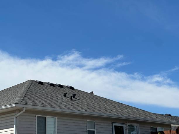 Best Roofing for New Construction  in Louisville, KY
